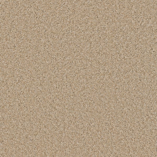 DreamWeaver Broadcast Plus — Frosted Clay carpet swatch
