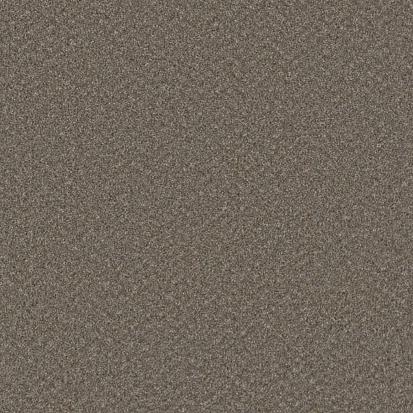 DreamWeaver Broadcast Plus — Field Slate carpet swatch