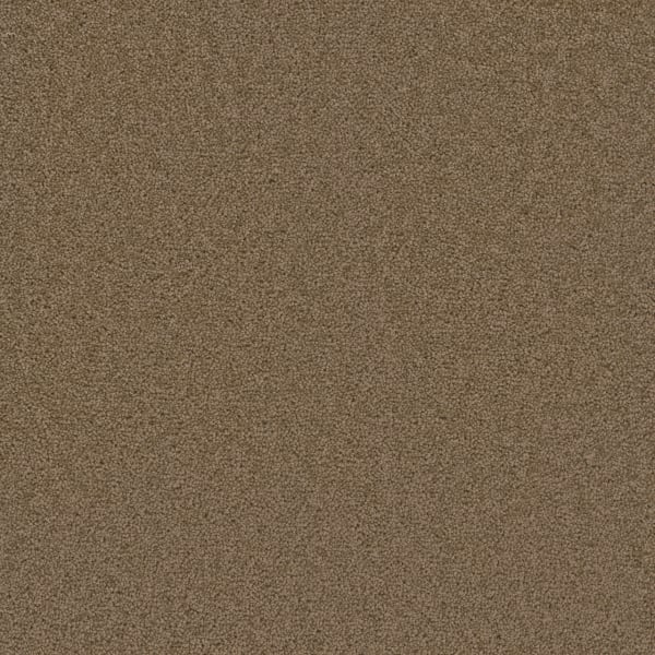 DreamWeaver Broadcast Plus — Honey Beige carpet swatch