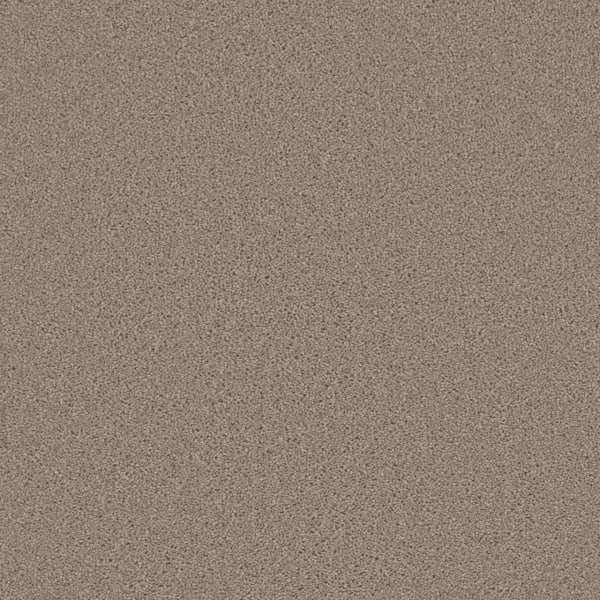 DreamWeaver Broadcast Plus — Flax Beige carpet swatch