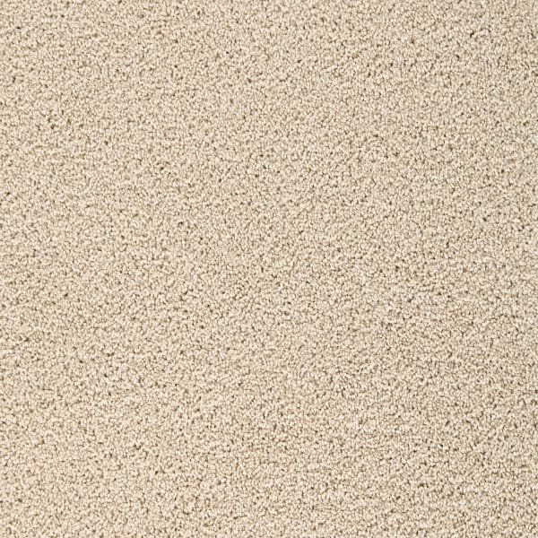 DreamWeaver Broadcast Plus — Cookie Dough carpet swatch