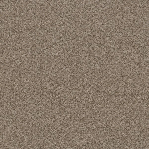 DreamWeaver Broadcast Plus — Almond carpet swatch