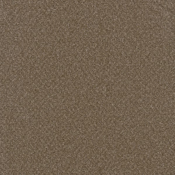 DreamWeaver Broadcast Plus — Chestnut carpet swatch