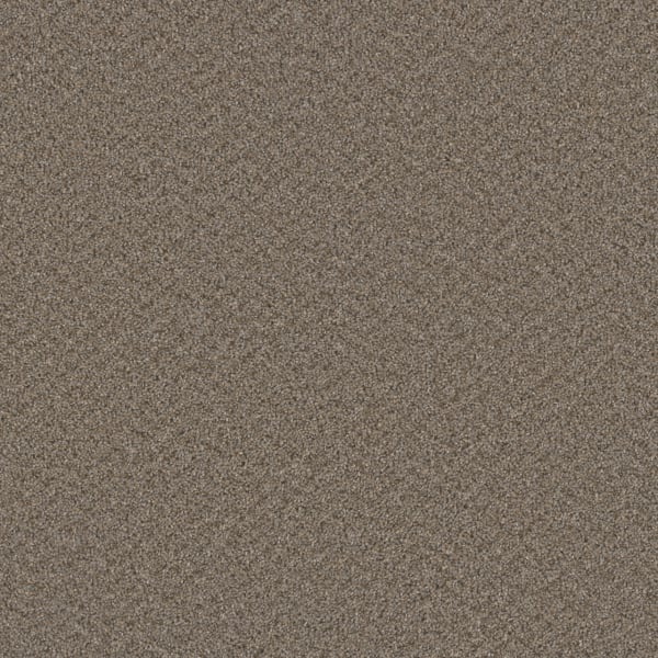 DreamWeaver Broadcast Plus — Cinder carpet swatch