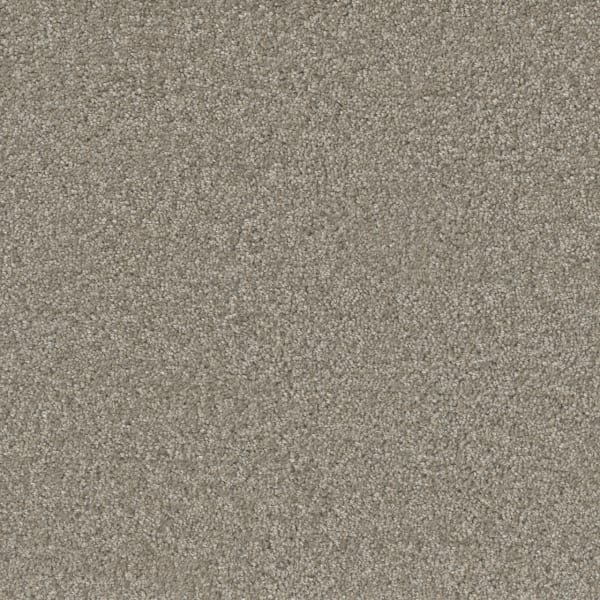 DreamWeaver Broadcast Plus — Chrome carpet swatch