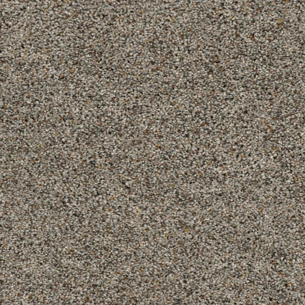 Confetti I — Mountain View