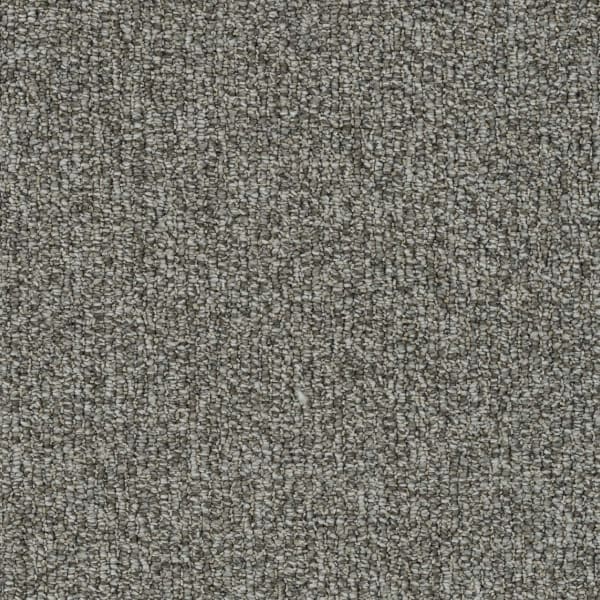 DreamWeaver Meteoric — Capricorn carpet swatch