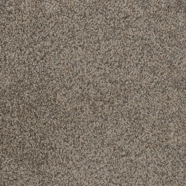 DreamWeaver Trendsetter II — Twig carpet swatch
