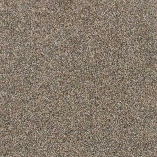 DreamWeaver Trendsetter II — Oxford Stone carpet swatch