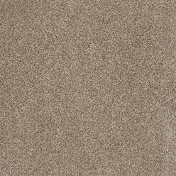 DreamWeaver Trendsetter II — Oxford carpet swatch