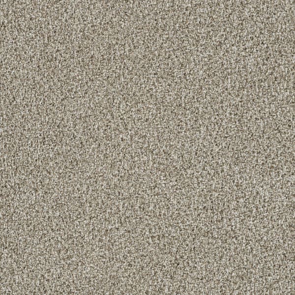 DreamWeaver Trendsetter II — Seashells carpet swatch
