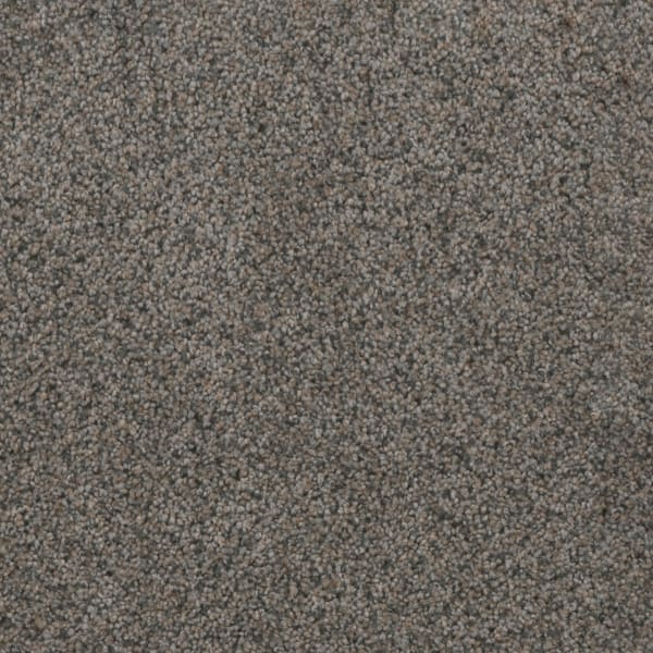 DreamWeaver Trendsetter II — Ash Grove carpet swatch