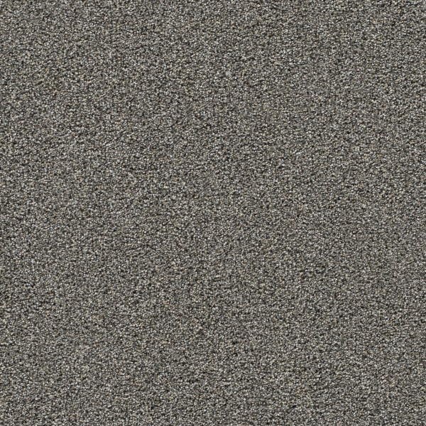 DreamWeaver Gold Standard II — Graphite carpet swatch