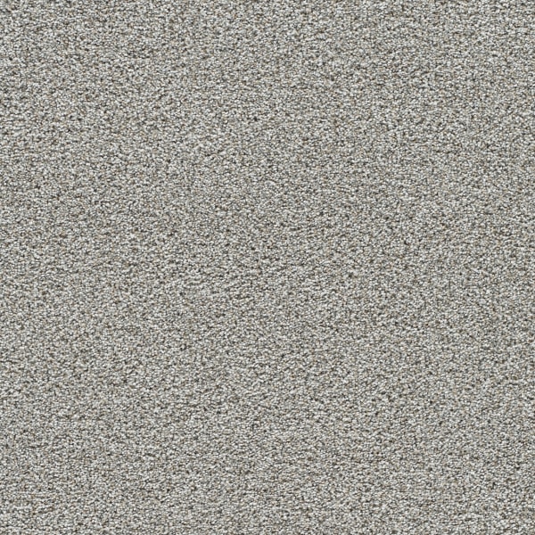 DreamWeaver Gold Standard II — Quartz carpet swatch