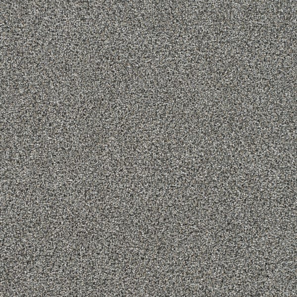 DreamWeaver Gold Standard II — Reserve carpet swatch