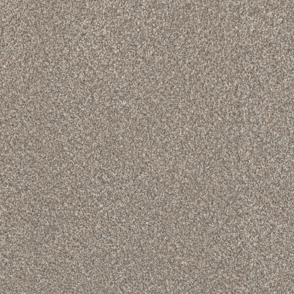 DreamWeaver Lucky Penny I — Burnished carpet swatch