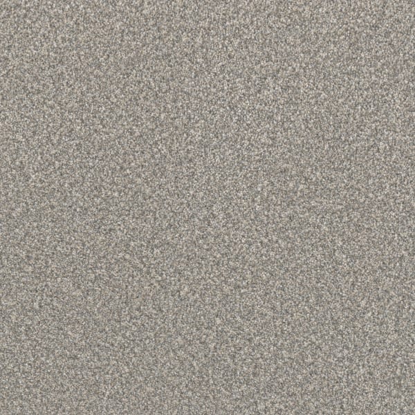 DreamWeaver Lucky Penny I — Pearl carpet swatch