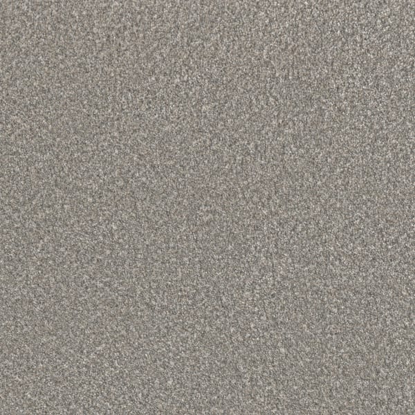 DreamWeaver Lucky Penny I — Rain Drops carpet swatch