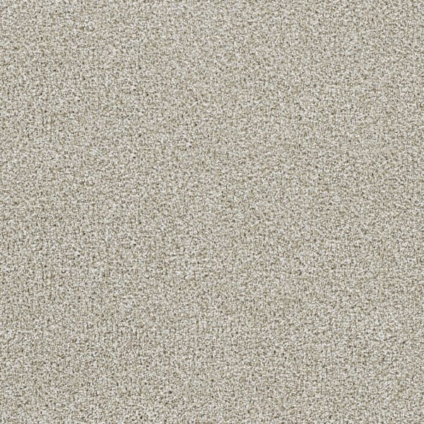 DreamWeaver Lucky Penny I — Northlight carpet swatch