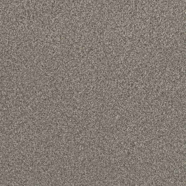 Lucky Penny I — Ventura