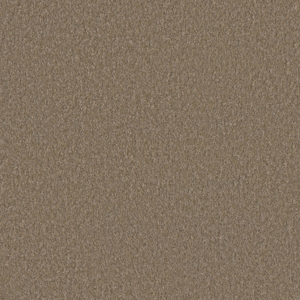 DreamWeaver Rock Solid I — Fox Tail carpet swatch