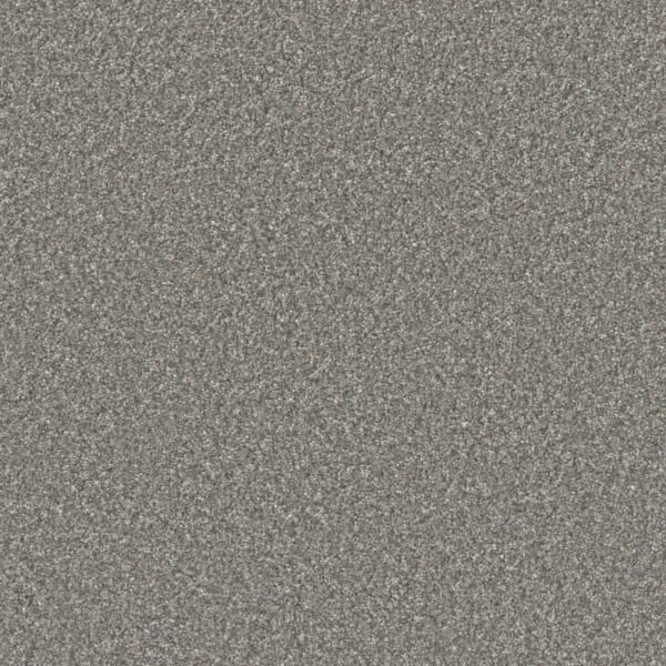 DreamWeaver Excalibur III — Smokestack carpet swatch