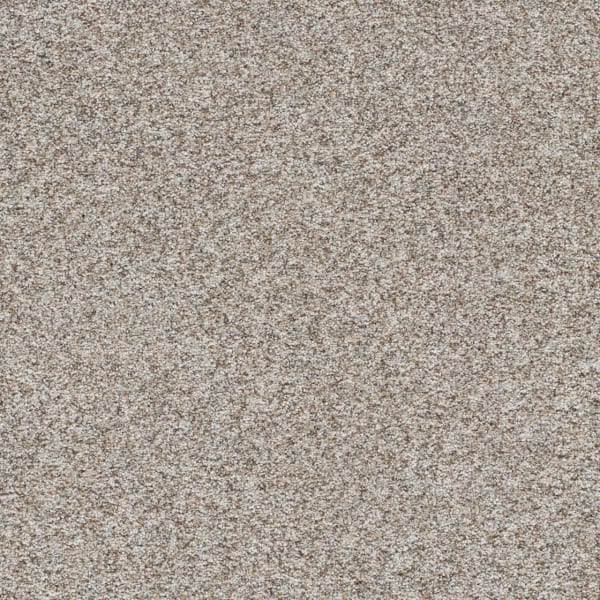 DreamWeaver Prismatic III — Crisp carpet swatch