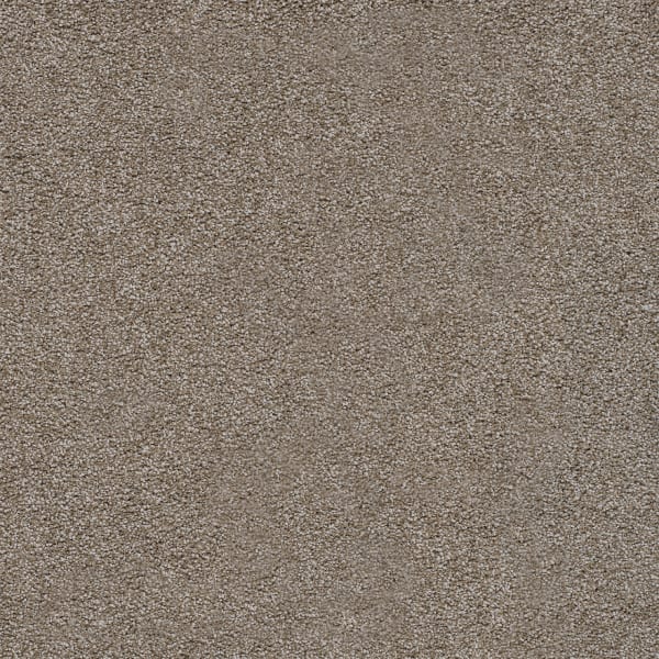 DreamWeaver Spectrum I — Hidden Treasure carpet swatch