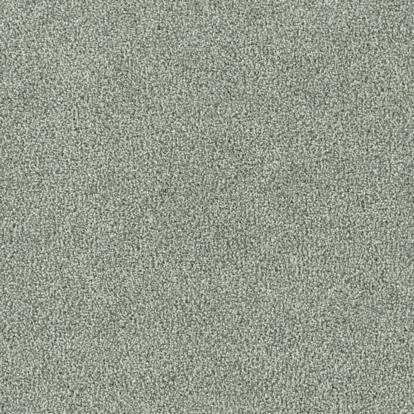 New Dawn II — Fearless