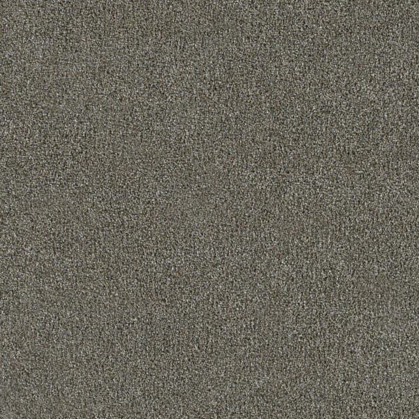 DreamWeaver New Dawn II — Wishing Well carpet swatch