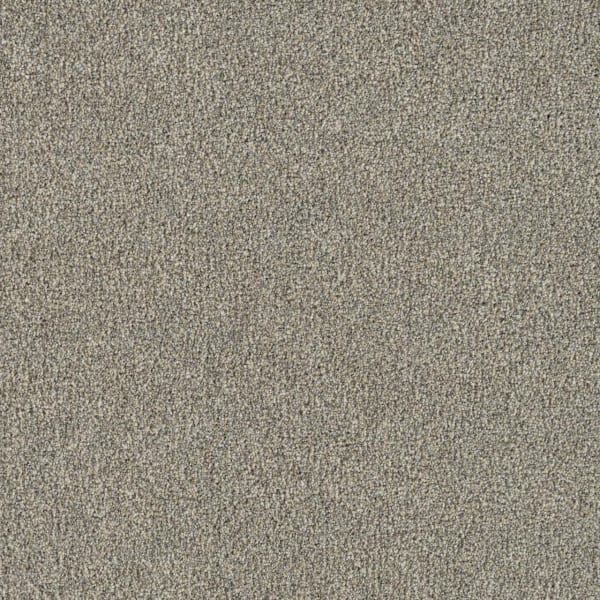 DreamWeaver New Dawn II — Whisper carpet swatch
