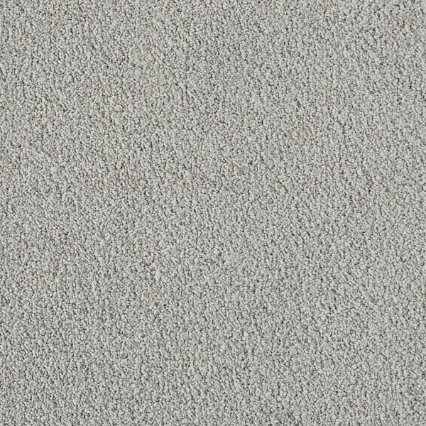 DreamWeaver Pretty Penny II — Lotus carpet swatch