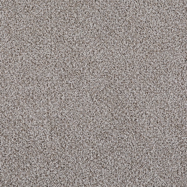 DreamWeaver Pretty Penny II — Kenya carpet swatch