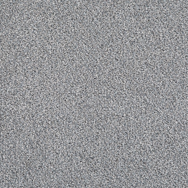 DreamWeaver Pretty Penny II — North Star carpet swatch