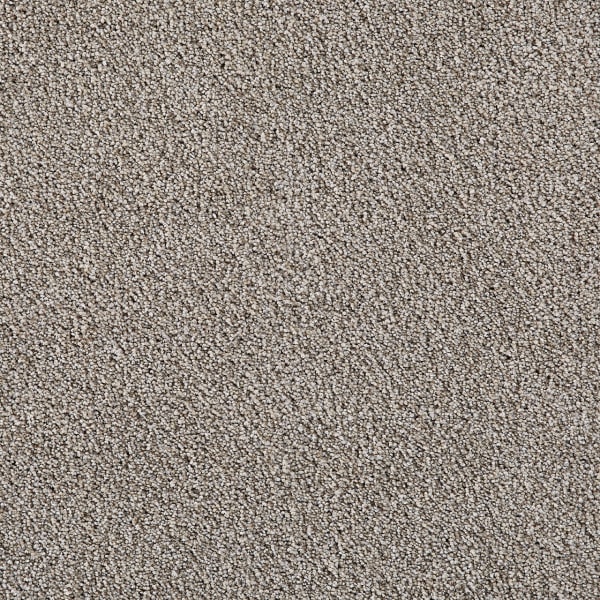 DreamWeaver Pretty Penny II — Spotlight carpet swatch