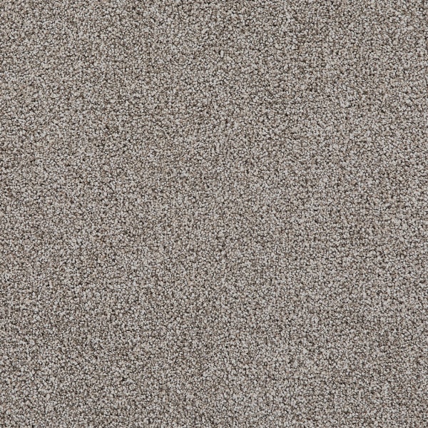 DreamWeaver Pretty Penny II — Tiramisu carpet swatch