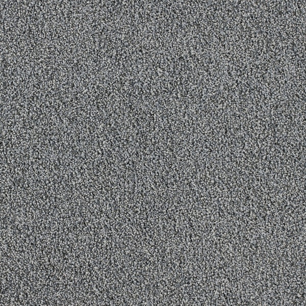 DreamWeaver Pretty Penny II — Wonderland carpet swatch