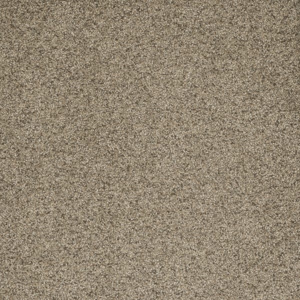 DreamWeaver Astounding II — Fiery Clay carpet swatch