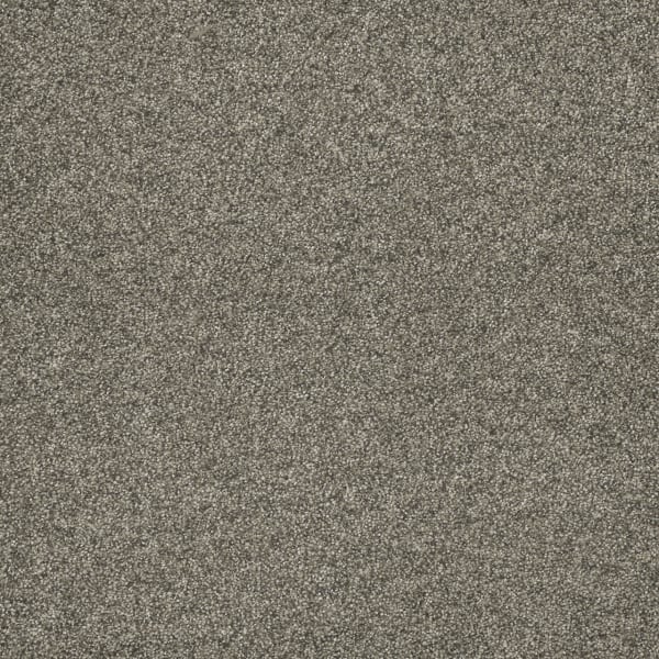 DreamWeaver Astounding II — Baymont carpet swatch