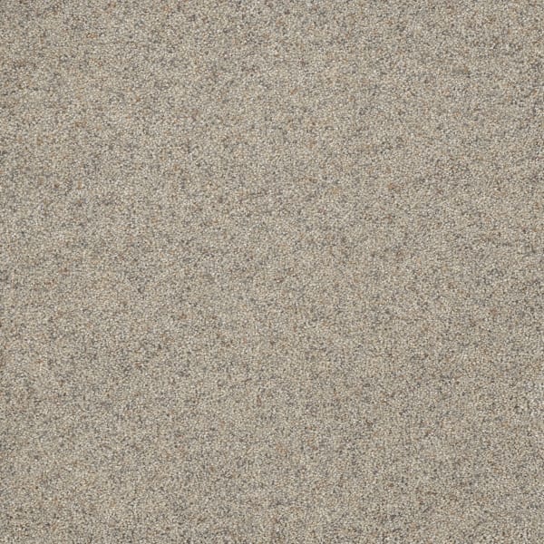 DreamWeaver Astounding II — Fine Details carpet swatch