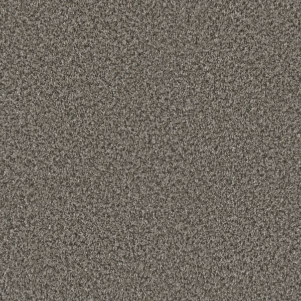 DreamWeaver Brazen I — Windswept carpet swatch