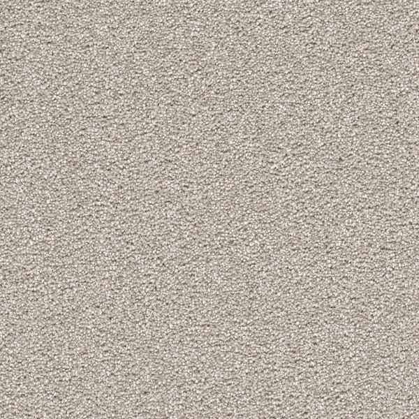 DreamWeaver Cape Cod — Silver Lining carpet swatch