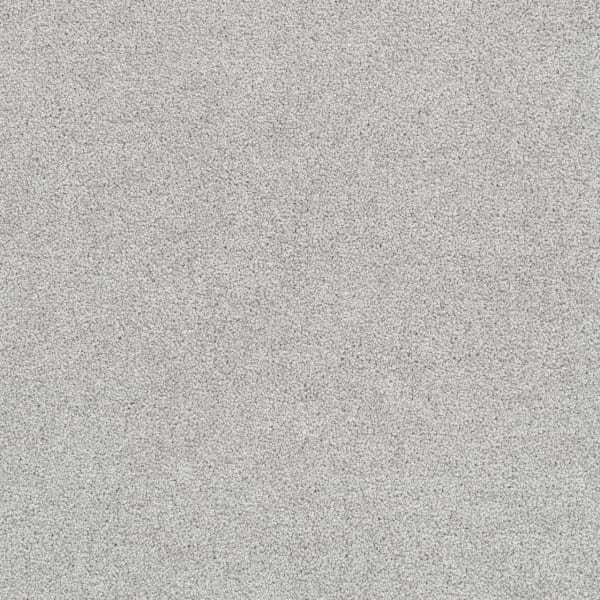 DreamWeaver Cape Cod — Morning Dove carpet swatch