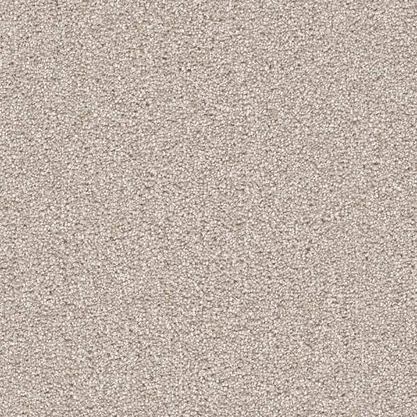 DreamWeaver Cape Cod — Parchment carpet swatch
