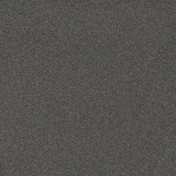 DreamWeaver Blazer II — Nitro carpet swatch
