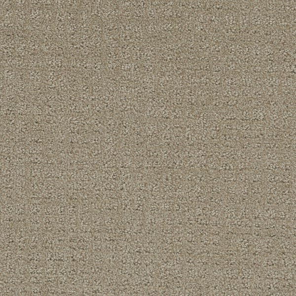 DreamWeaver Common Ground — Fieldcrest carpet swatch
