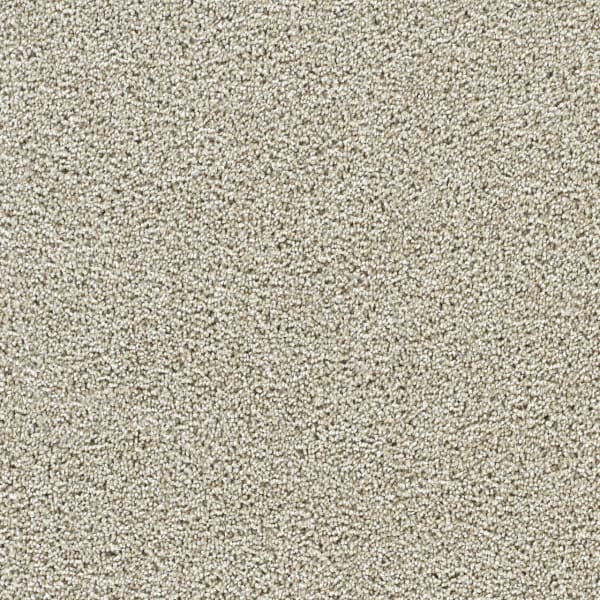 DreamWeaver Captivating I — Wheat Grass carpet swatch