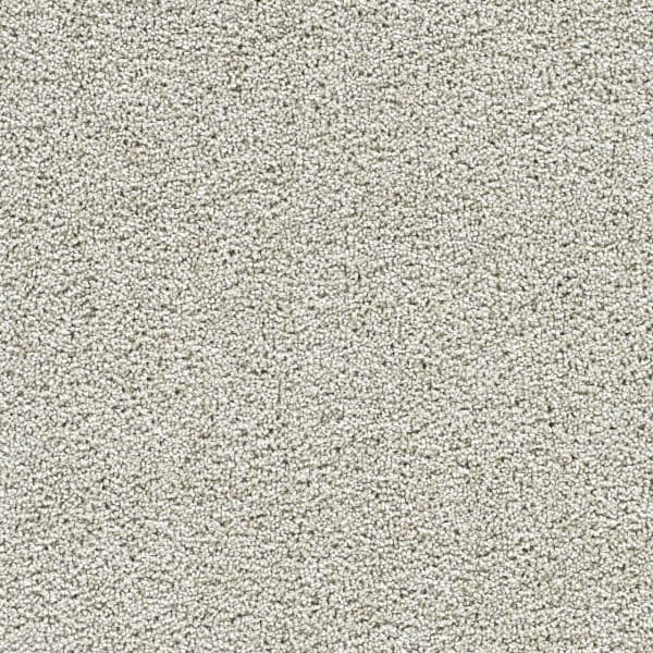 DreamWeaver Captivating I — Anaheim carpet swatch