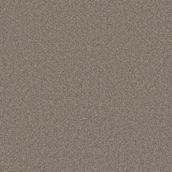 DreamWeaver Cosmopolitan II — Iron Frost carpet swatch