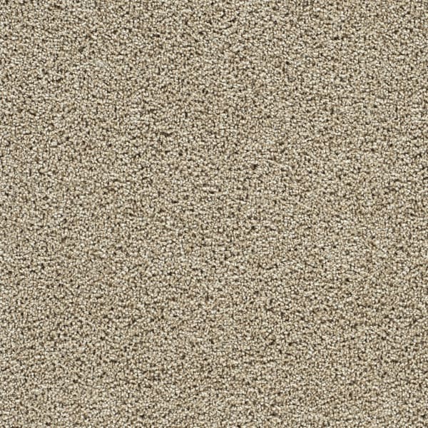 DreamWeaver Captivating I — Fall Brook carpet swatch